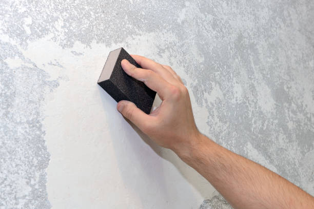 Best Asbestos and Lead Testing During Mold Inspection  in Nicollet, MN
