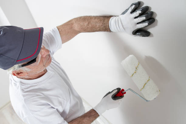 Best HVAC Mold Inspection and Cleaning  in Nicollet, MN