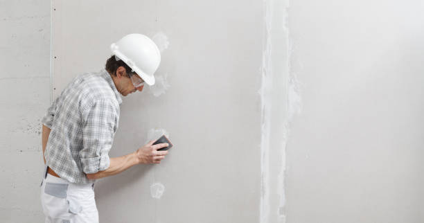 Best Crawl Space Mold Remediation  in Nicollet, MN