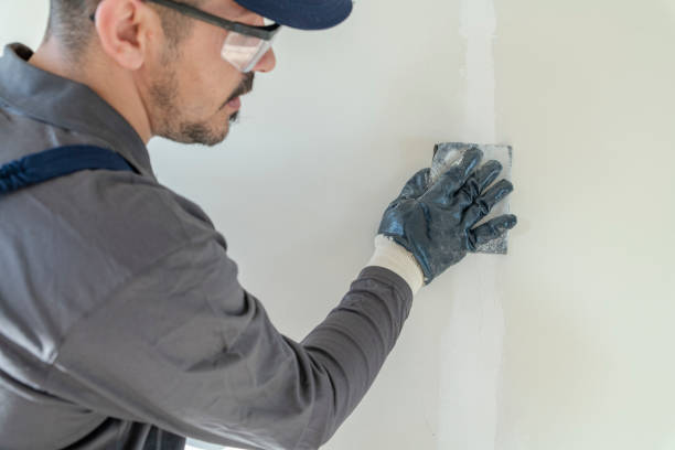Trusted Nicollet, MN Mold Removal Experts