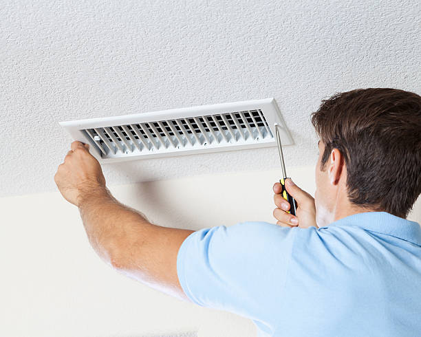 Best Mold-Related Health Consultation  in Nicollet, MN