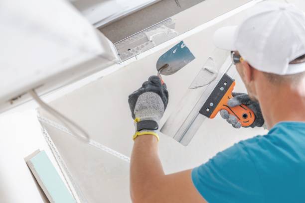 Asbestos and Lead Testing During Mold Inspection in Nicollet, MN